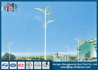Powder Coated ISO9001-2008 Street Light Poles Stainless Steel Against Earthquake