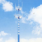 Disguised Pine Tree Telecommunication Towers Inner Climbing Ladder
