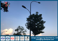 Galvanized Stainless Lamp Pole Street Light Poles Single Or Double Arm
